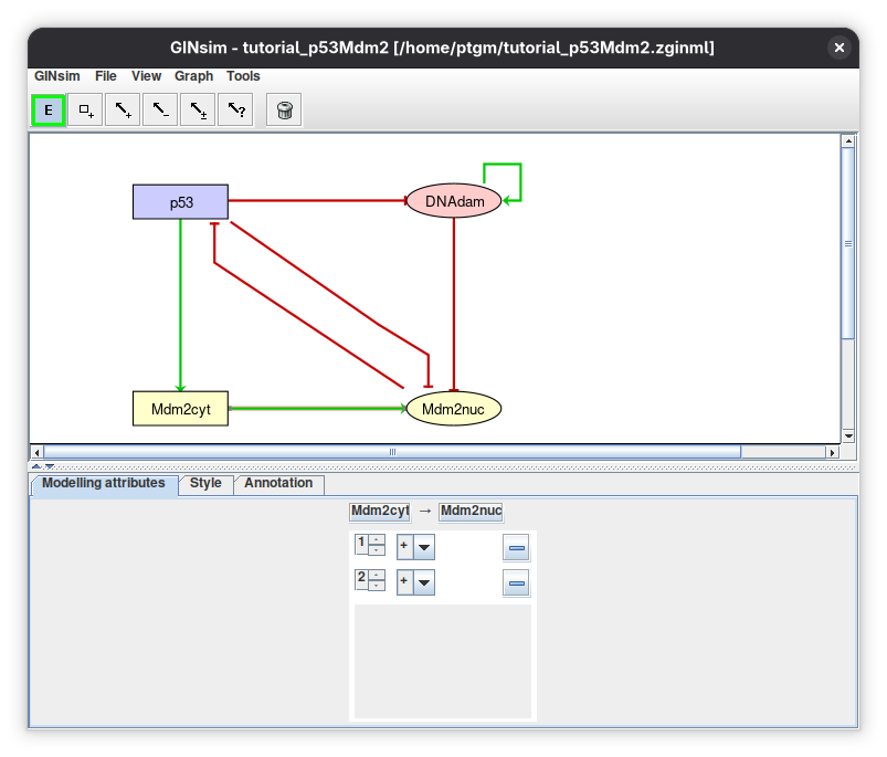 Interactions of the p53-Mdm2 model